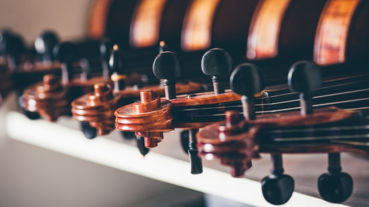 Close up of detail of violin, shallow dof.